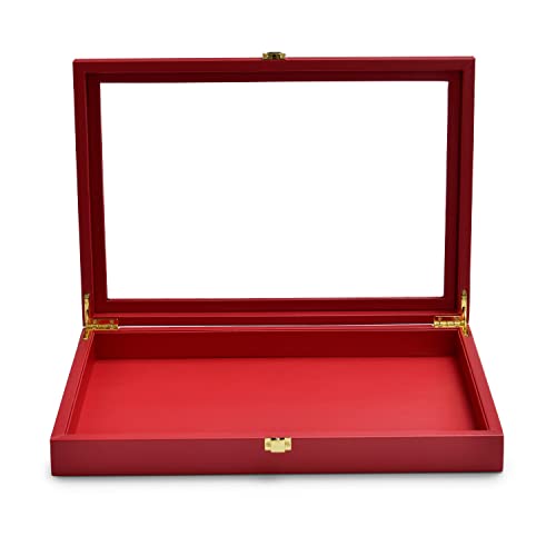Oirlv Premium Red Leather Jewelry Tray with Acrylic Lid Jewelry Organizer Case Showcase Jewelry Display Organizer Box - color: Red, size: 1 Grid