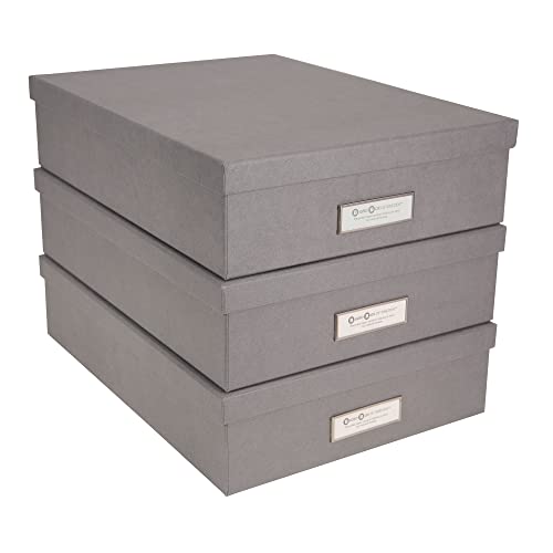 Bigso Box of Sweden Oskar Fiberboard Label Frame Document Letter Box | File Organizer for Important Paperwork with a Lid & Label Window | 3.3"x10.2"x13.8" | 3 Pack | Grey - color: Grey, size: 3 Pack